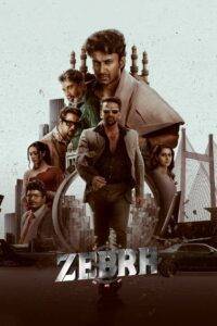 Zebra (2024) Hindi Dubbed AMZN