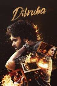 Dilruba (2025) Telugu PreDVD