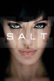 Salt (2010) Hindi Dubbed